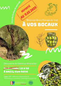 Atelier découverte curieux de nature : A vos bocaux !