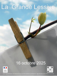 Installation artistique "La grande lessive"
