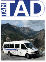 tad
